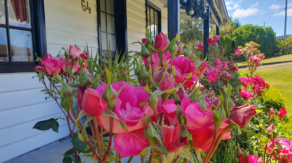 Cottage_Flowers_AirBnB_Tasmania